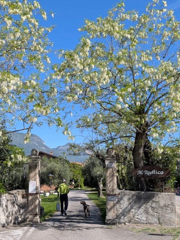 dove-siamo | dintorni | torbole sul garda